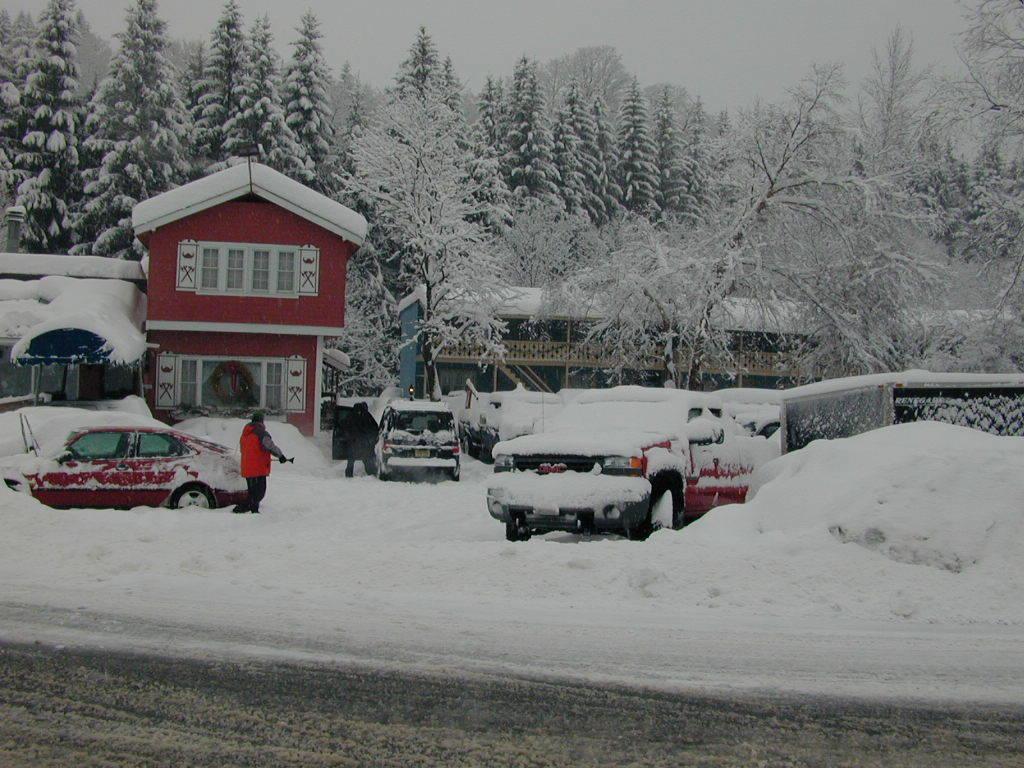 Viking Motel *